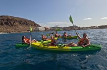 Turtle and Dolphin Watching Kayaking and Snorkeling Tour