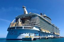 Mykonos Private 4 Hours Van & Walk - Free Port Pick-up