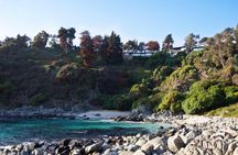 Coastal Hike in Zapallar and Cachagua Nature and Gastronomy