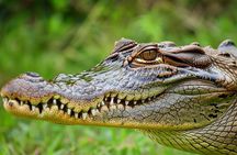 3-Day Iquitos Amazon Adventure from Iquitos