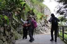 Machu Picchu Private Guide: 3 - Hour Experience, Choose Language