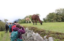 Machu Picchu Private Guide: 3 - Hour Experience, Choose Language