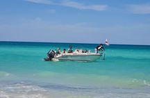 1h30 Sea Trip with Swimming and Dolphin Watching