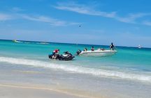 1h30 Sea Trip with Swimming and Dolphin Watching
