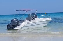1h30 Sea Trip with Swimming and Dolphin Watching