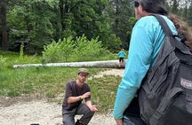 The Evolution of Yosemite: 3-Hour Walking Tour