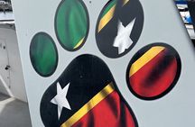 Private Luxury Full day Boat Charter With Lunch