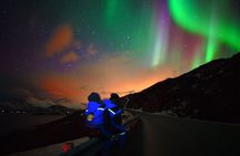 Tromso Cruise Excursion Northern Light Aurora Tour 