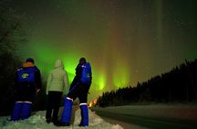 Tromso Cruise Excursion Northern Light Aurora Tour 