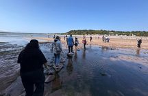  Fundy Shore Tour By Bus