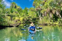Chassahowitzka River Clear Kayak Springs & Manatee Tours 