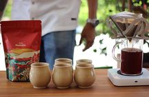 Specialty coffee experience & tasting 20 min from El Poblado MDE