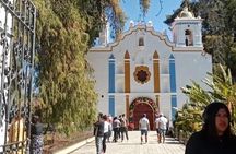  Shared Santa Maria Del Tule Bike Tour