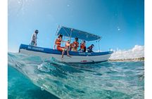 Private Turtle Snorkel Adventure in Akumal