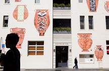 Private Auckland Tour