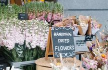 Private Auckland Tour