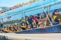 Paracas and Huacachina Islands Adventure Crossbows and Sandboarding