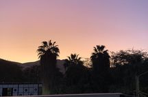 Paracas and Huacachina Islands Adventure Crossbows and Sandboarding