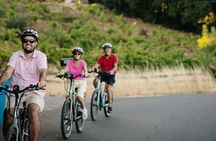 Half Day Guided Electric Bike Wine Tasting Tour with Lunch