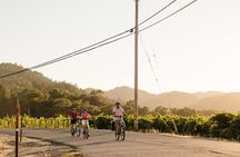 Half Day Guided Electric Bike Wine Tasting Tour with Lunch