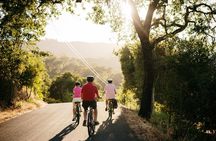 Half Day Guided Electric Bike Wine Tasting Tour with Lunch
