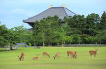 Super Express Nara & Kyoto Private 1-Day Tour from Tokyo 