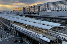 Super Express Nara & Kyoto Private 1-Day Tour from Tokyo 