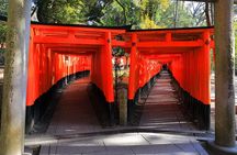 Super Express Nara & Kyoto Private 1-Day Tour from Tokyo 