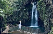 Rice Terrace, Temple, Ulu Petanu Waterfall with Pro Photographer