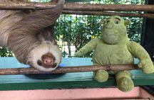 Sloths & Limón Highlights: Wildlife & Culture Tour