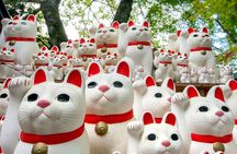 Lucky Cats Temple & Old Tokyo Yanaka 1/2-Day Walking Private Tour