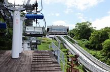 1 Day Tour in Sapporo Mt Maruyama Hike and Okurayama Ski Jump
