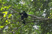  Chocolate Tour in Bribri Indigenous Area & Cahuita National Park