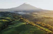 Rice Terrace, Temple, Ulu Petanu Waterfall with Pro Photographer