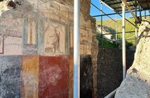 Visit Pompeii Excavations from Amalfi
