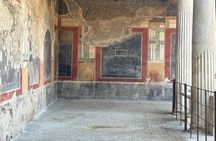 Visit Pompeii Excavations from Amalfi