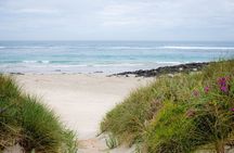 Great Ocean Road and 12 Apostles Tour