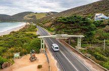 Great Ocean Road and 12 Apostles Tour