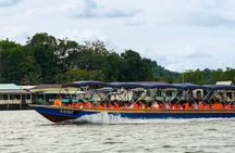 Brunei Mangrove River Safari