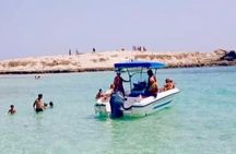 1h30 Sea Trip with Swimming and Dolphin Watching