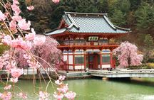 Osaka / Kyoto: Katsuoji, Arashiyama & Kinkaku-ji One Day Tour