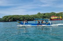 Bali Blue Lagoon Snorkeling Tour With Group Transfers And Lunch