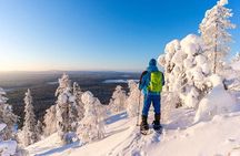 Snowmobile and Snowshoeing in Rovaniemi, Lapland