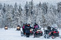 Snowmobile and Snowshoeing in Rovaniemi, Lapland
