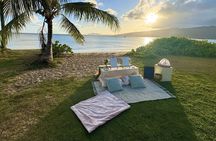 Secluded Beachside Luxury Picnic & Painting