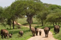 Ngorongoro Crater Private 4-Day Tour Karibu Heritage House