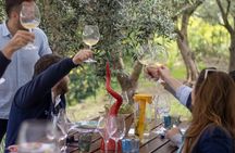 Small Group Wine Tasting e Food Pairing Experience in Sorrento