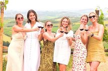 Tuscany Wine Tour: 2 Wineries & San Gimignano from Rome