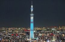 Tokyo Sightseeing Tour by Private Car with Bilingual Driver-Guide