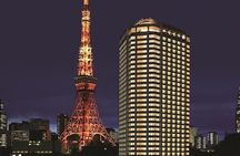 Tokyo Sightseeing Tour by Private Car with Bilingual Driver-Guide